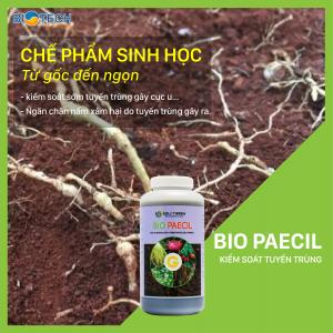 BIO PAECIL - Phòng trừ tuyến trùng hại rễ, ngăn chặn nấm xâm nhập, kiểm soát tốt bệnh chết nhanh chết chậm và tất cả nấm bệnh trên rễ.